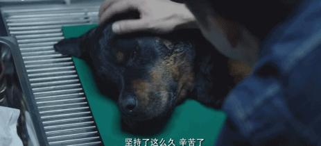 80万人想看，不只因为它凑齐半个娱乐圈