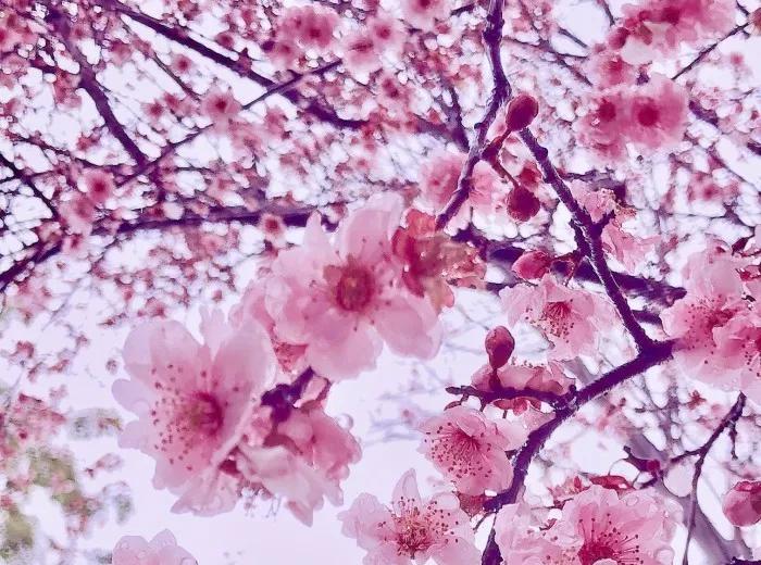 一首经典古诗词书法作品,十三言诗13首书法