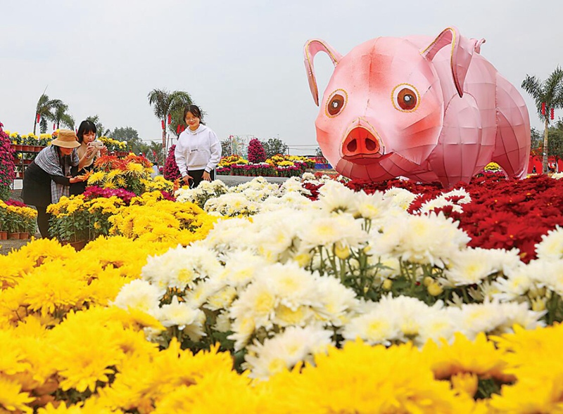 贵港市国庆假期旅游业,贵港春节游客