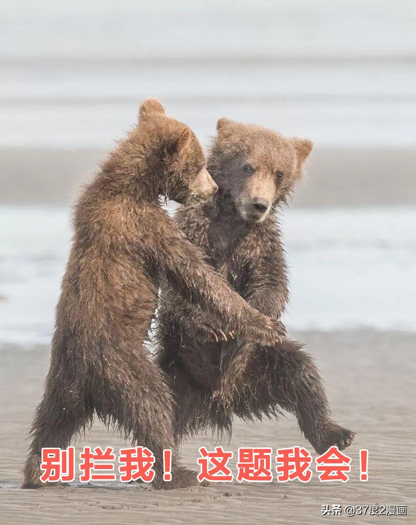 三国没你想象的落后！解方程、球体公式、飞行器了解下吧