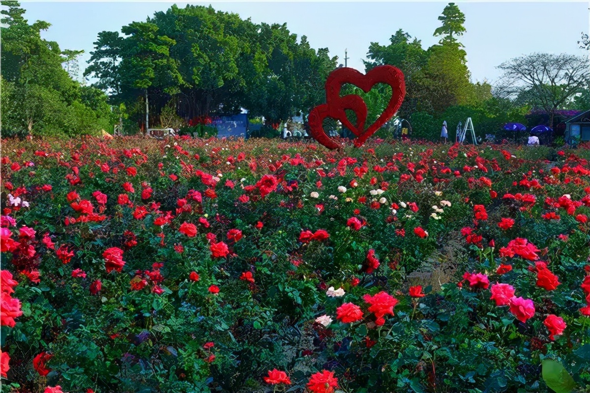 广州从化山野间隐奢桃源民宿，诗意野趣手作做个小木匠丨菁木山舍