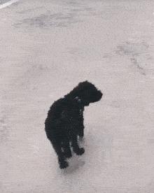 不联系的同学借钱怎么高情商回复,怎么回复借钱的同学