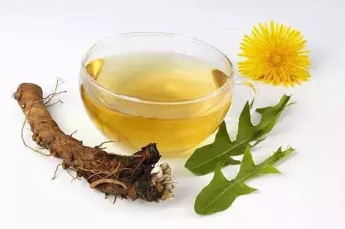 清肝火排肝毒拿什么泡水喝,清肝火排肝毒吃什么中药煮水