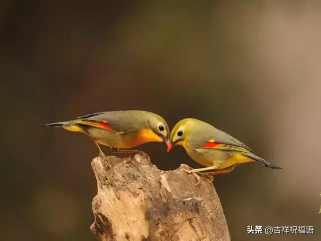 今天是6.4，夫妻日，百年一遇的吉祥日子，送给天下所有的夫妻