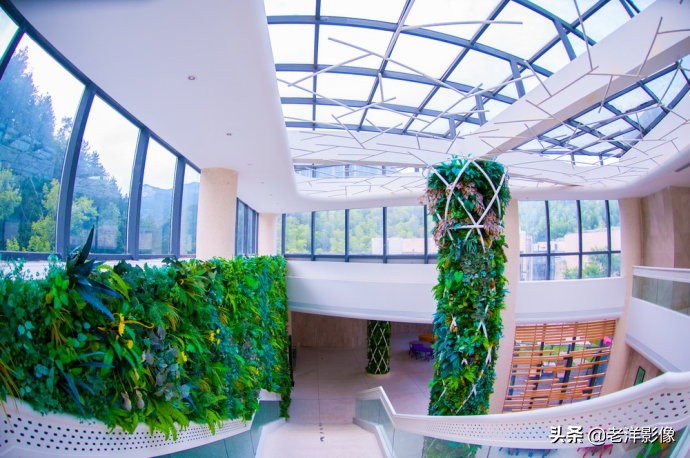 藏龙大别山度假酒店,罗田天堂寨藏龙大酒店价格