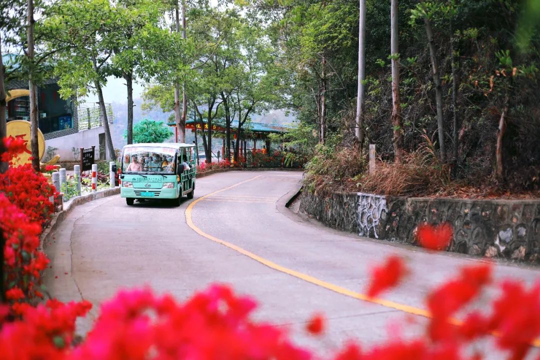 超灵验的姻缘福地!离广州深圳不到一小时,踏青赏花祈福康养首选