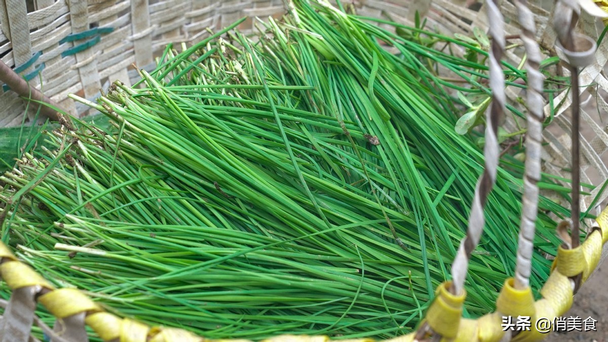 韭菜馅饺子放冰箱怎么保持馅翠绿,包韭菜肉馅饺子记住3放2不放