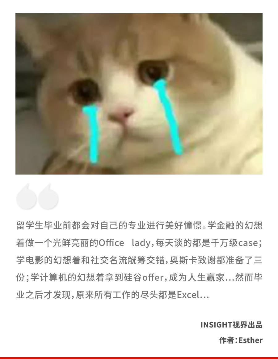 “我堂堂宾大毕业高材生，回国后竟然天天做Excel表”