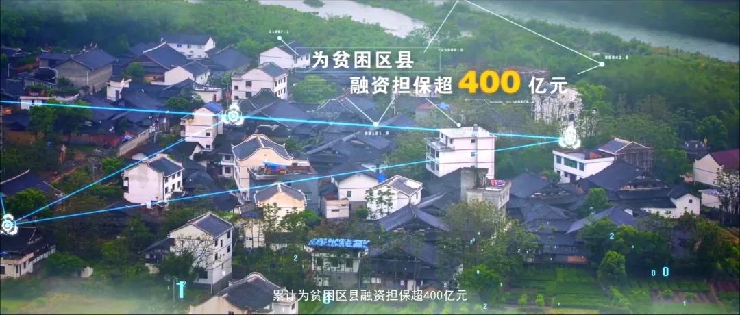 重庆市兴农担保集团,重庆兴农担保集团