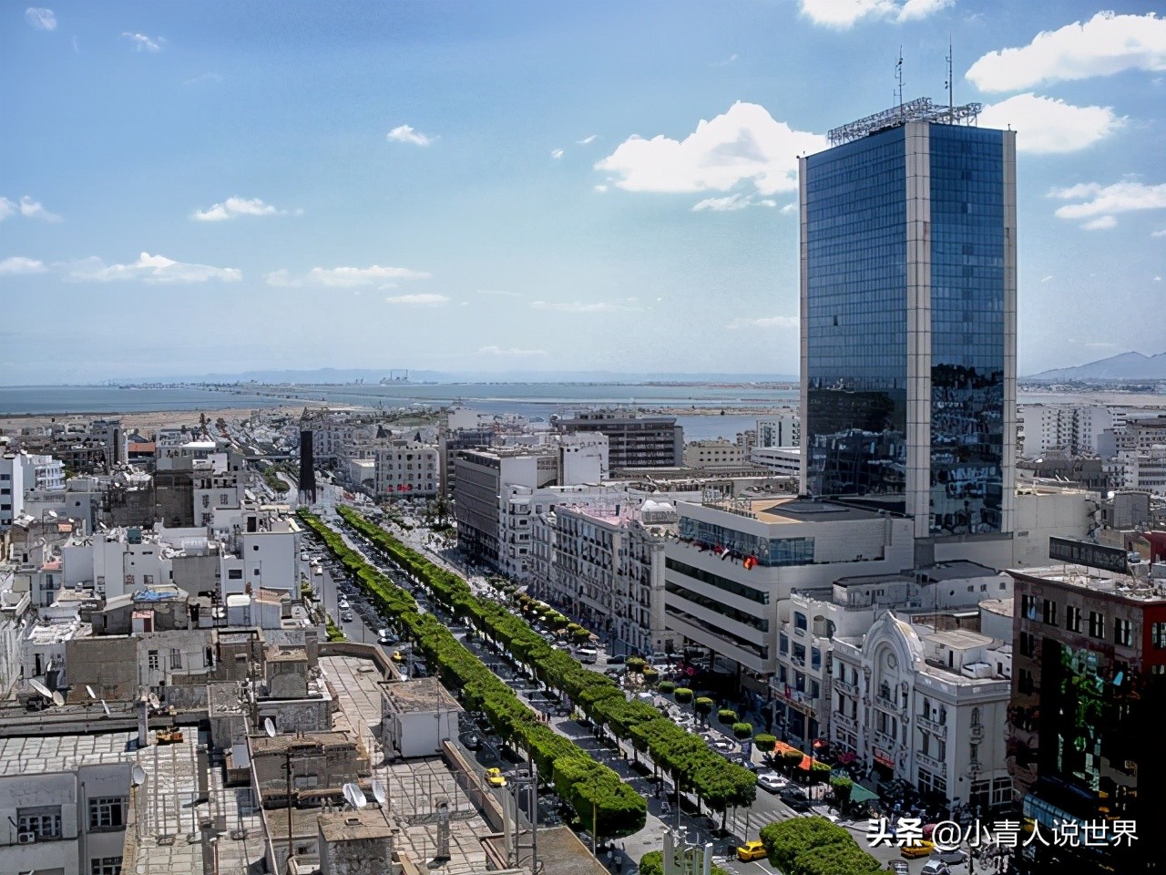 突尼斯是个什么样的国家,欧洲人眼中的突尼斯