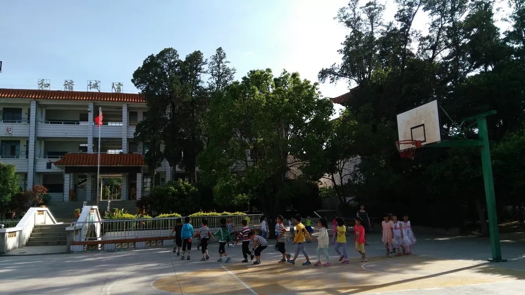 龙岗华中师范附属龙园学校怎么样,华中师大附属龙园学校深圳排名