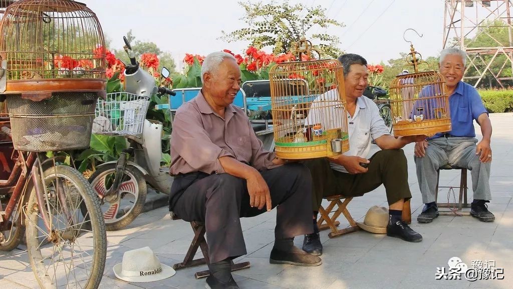 皇城根脚下,那是开封大爷遛鸟的天地