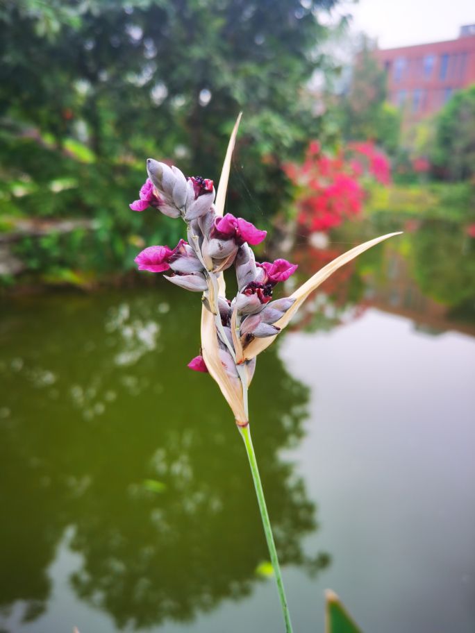 真相小揭秘,真相小小说