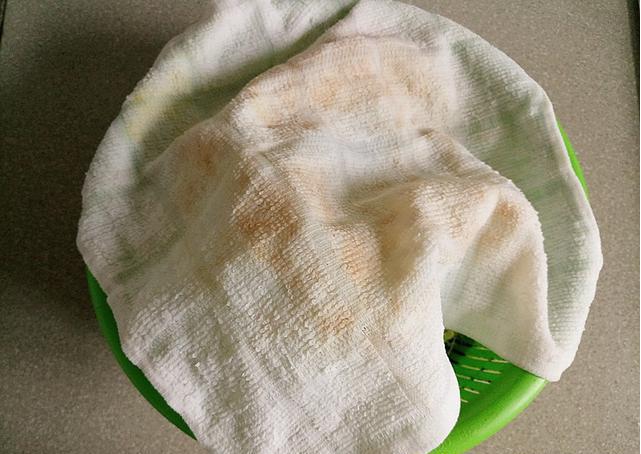 绿豆芽怎么发育,绿豆芽怎么发芽家庭版