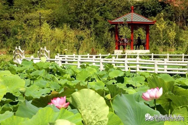 我叫成县，这是我2019年的自拍照