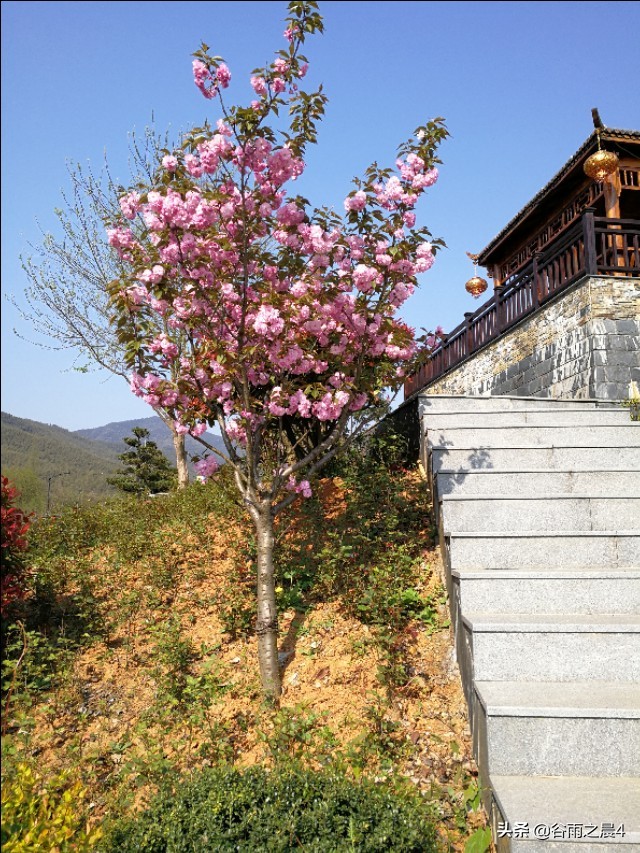 宜兴竹海徒步路线推荐,宜兴竹海最高海拔多少