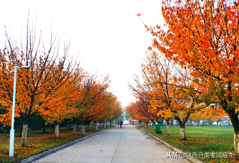 西安海棠职业学院学费,西安海棠职业学院报名