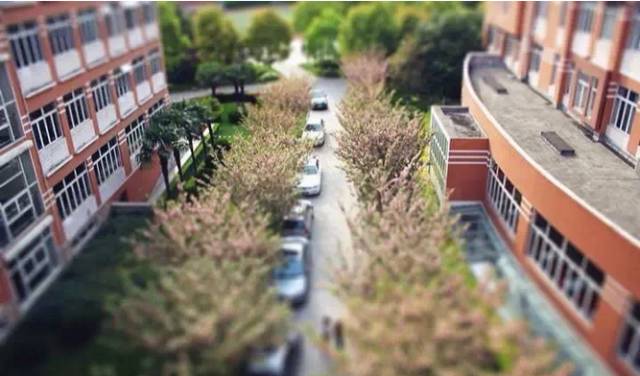 2023年上海五年一贯制新学校,上海一贯制双语学校排名