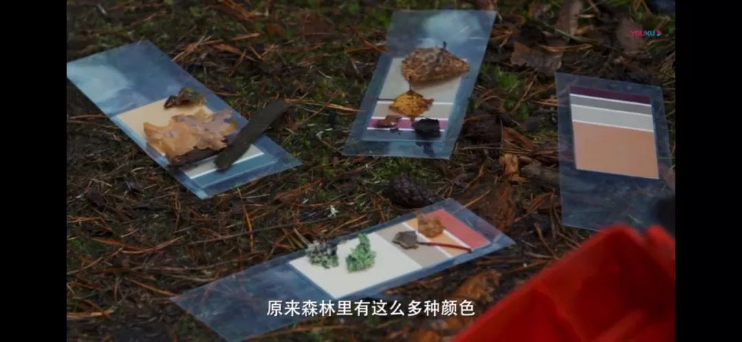 芬兰世界上教育水平最高的国家,全球第一的芬兰教育