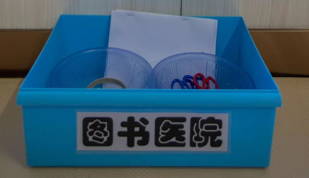 大班新学期环境创设实施方案,大大的小小的主题活动及环境创设