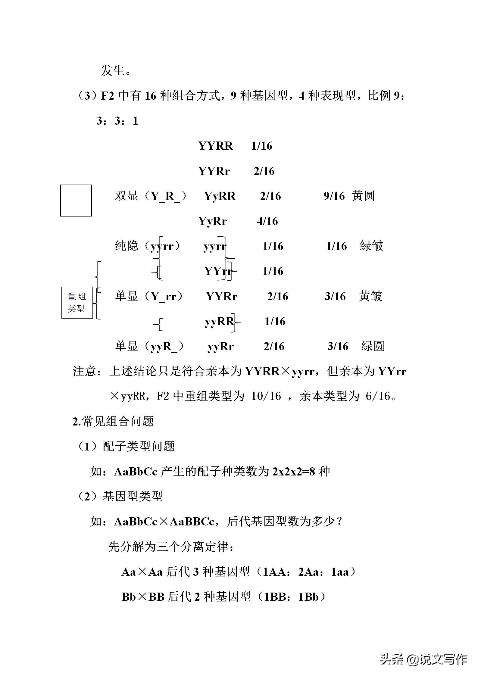 高中生物必修二减数分裂有丝分裂,人教版高中生物必修二课本电子版