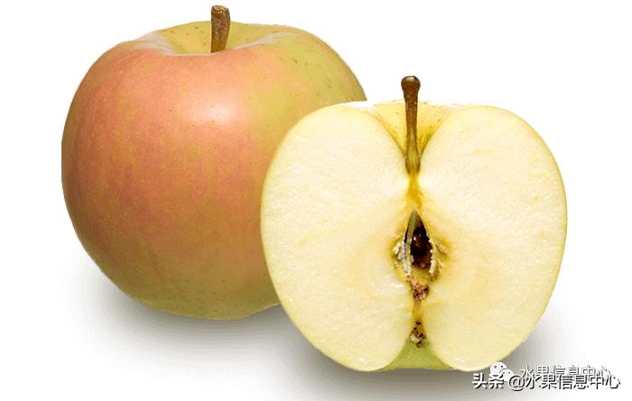 日本苹果种植现状,为什么日本苹果质量比中国的好
