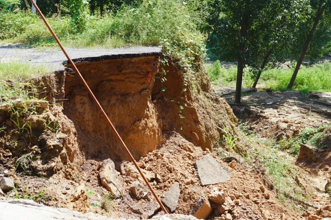 师父愿您一切安好,师父祝贺一切安好