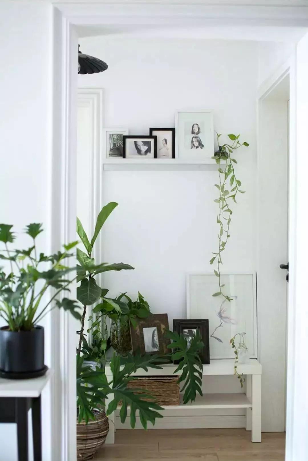 小夫妻98㎡家意外走红！登北京地铁广告，这个家才是都市里的奢侈