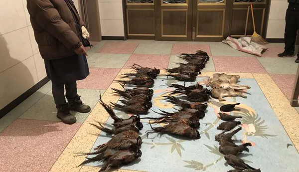 非法贩卖动物犯罪案例统计,破获一起野生动物案