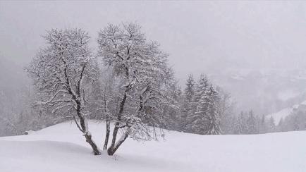 冬季上火便秘,冬季为什么容易便秘