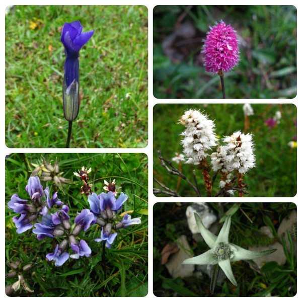 四姑娘山冬日旅行,2022年冬天四姑娘山游记