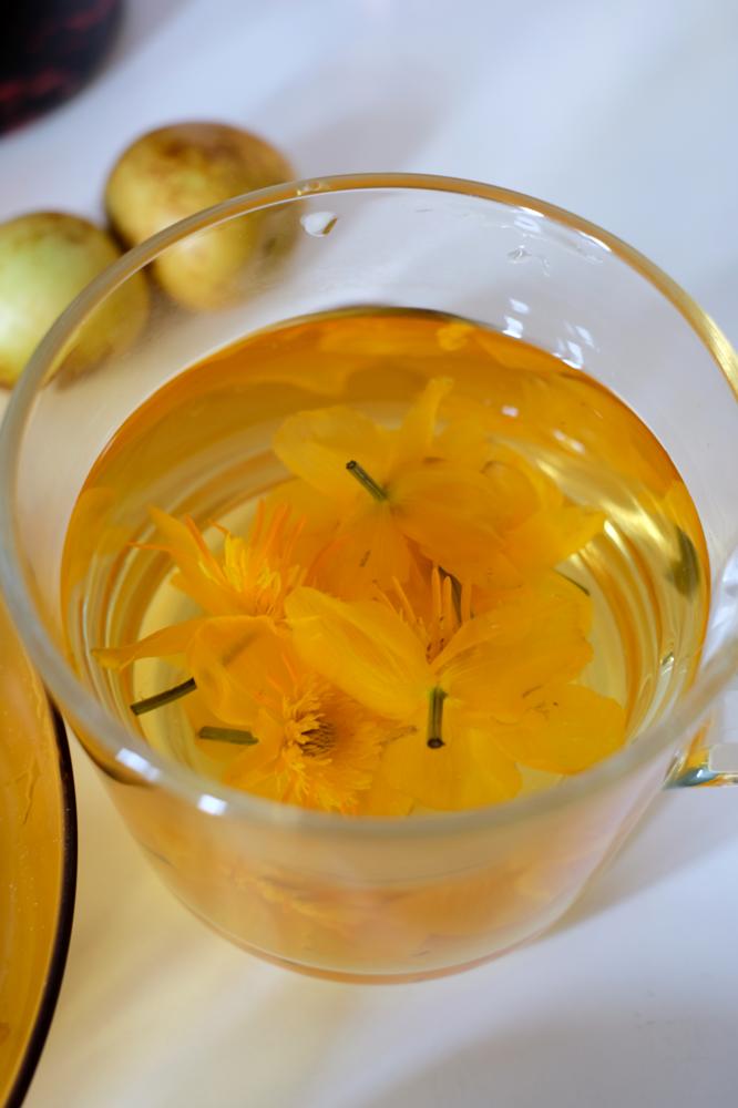 金莲花茶的禁忌,金莲花和菊花哪个去火效果好