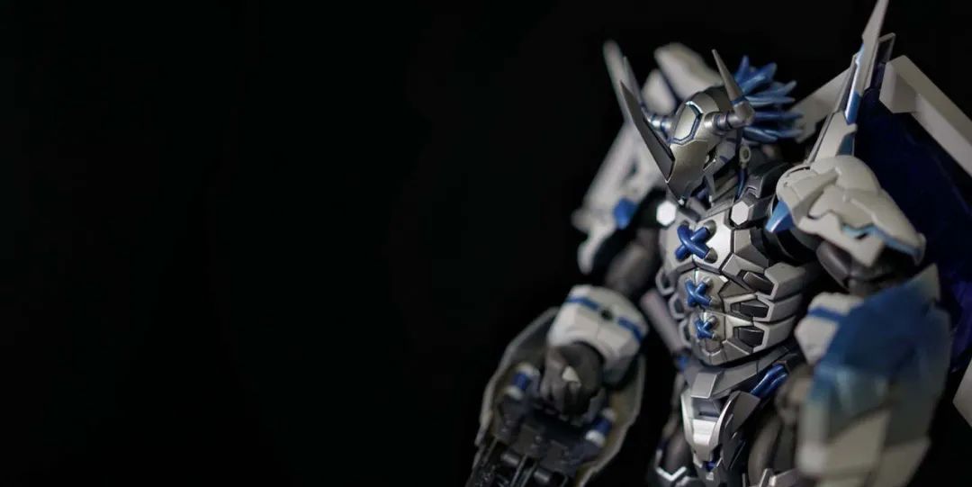 战斗暴龙兽慈悲形态是哪一集,高达模型秀