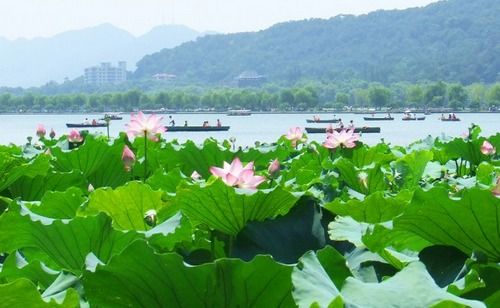 西湖诗一:湖开诗境/伊逊倦客