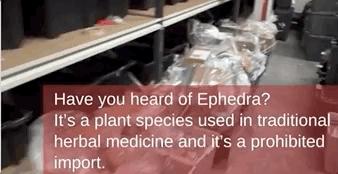 澳洲最新入境新规定官宣,澳洲入境被遣返流程