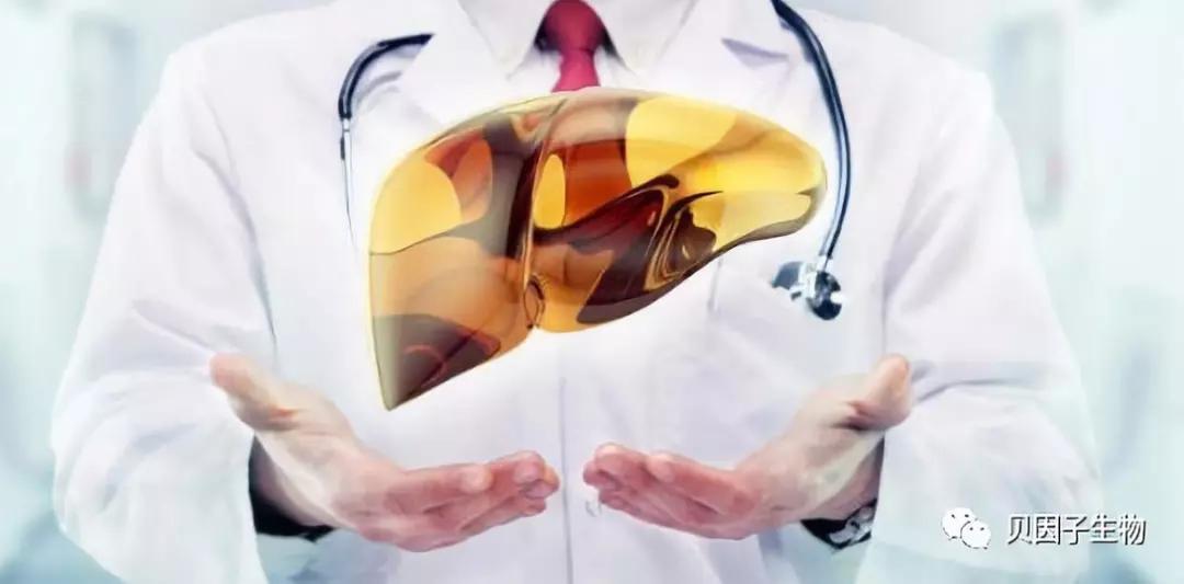 干细胞移植肝硬化为什么被叫停,干细胞治疗肝硬化的临床研究进展