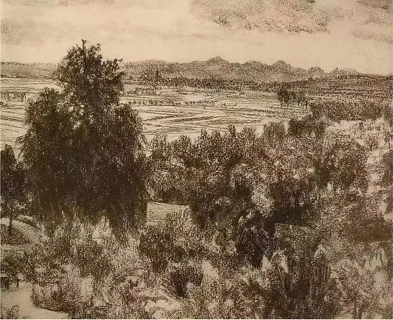 阿道夫门采尔速写作品,门采尔高清速写作品图片