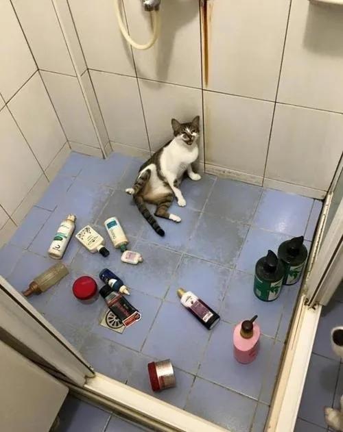 每一寸都是我理想的浴室！看直播1元抢英皇卫浴大礼包！