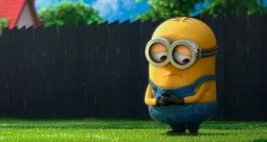 生活就是如此，我们想要独角兽，却得到了山羊