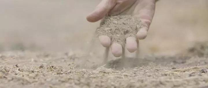 田园牧歌有哪些,田园牧歌纪录片