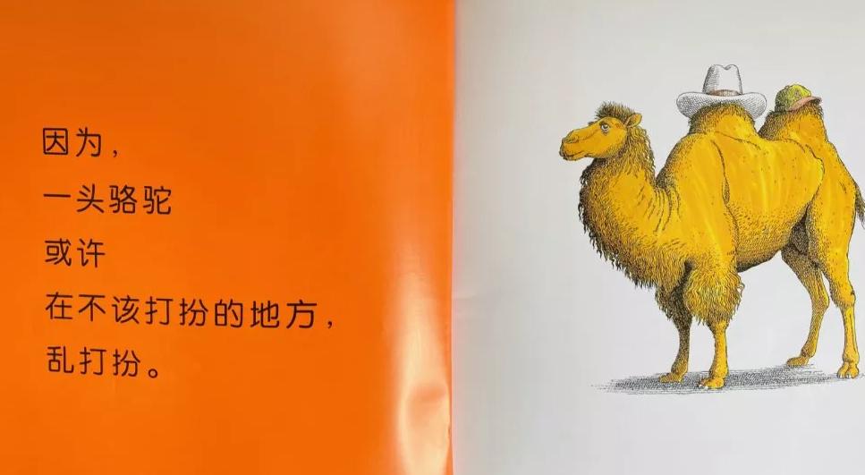 适合5-6岁幼儿看的动物绘本,动物科普绘本