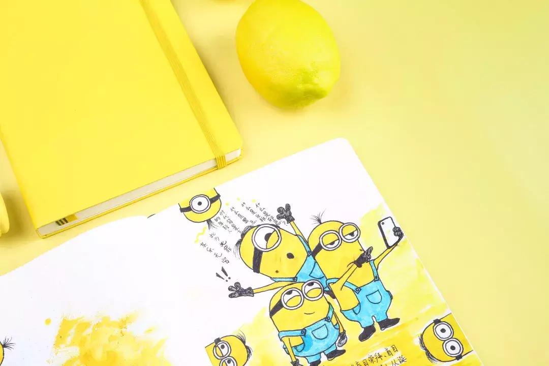 生活就是如此，我们想要独角兽，却得到了山羊