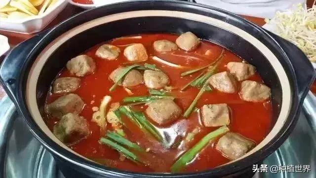 閬典箟鍗佸ぇ鐗硅壊缇庨,璐靛窞閬典箟鍗佸ぇ鐗硅壊缇庨