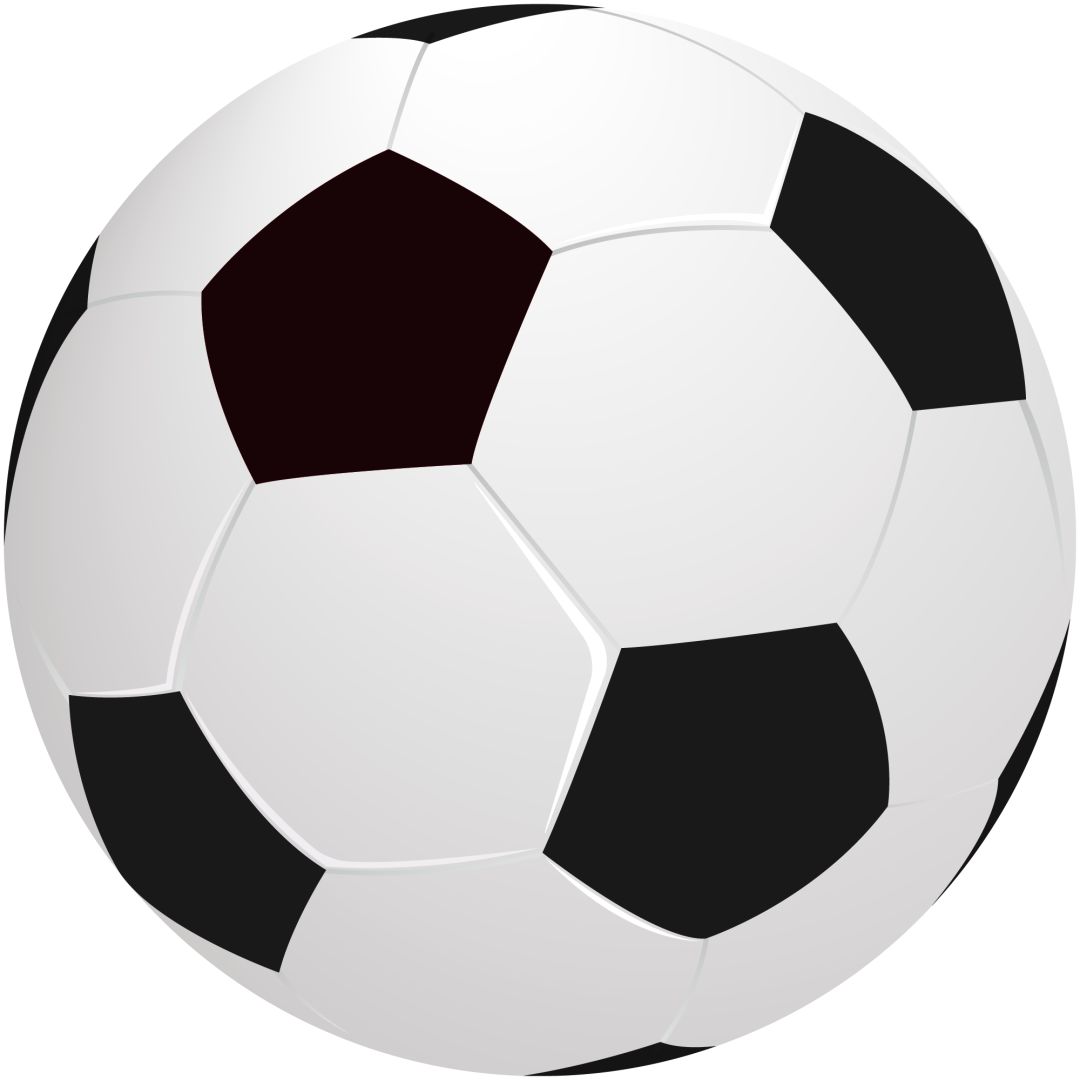 2023年熊猫夏令营,2019熊猫夏令营