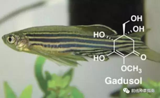 动物防晒VS人类防晒,食物链顶端的我们居然败了?!