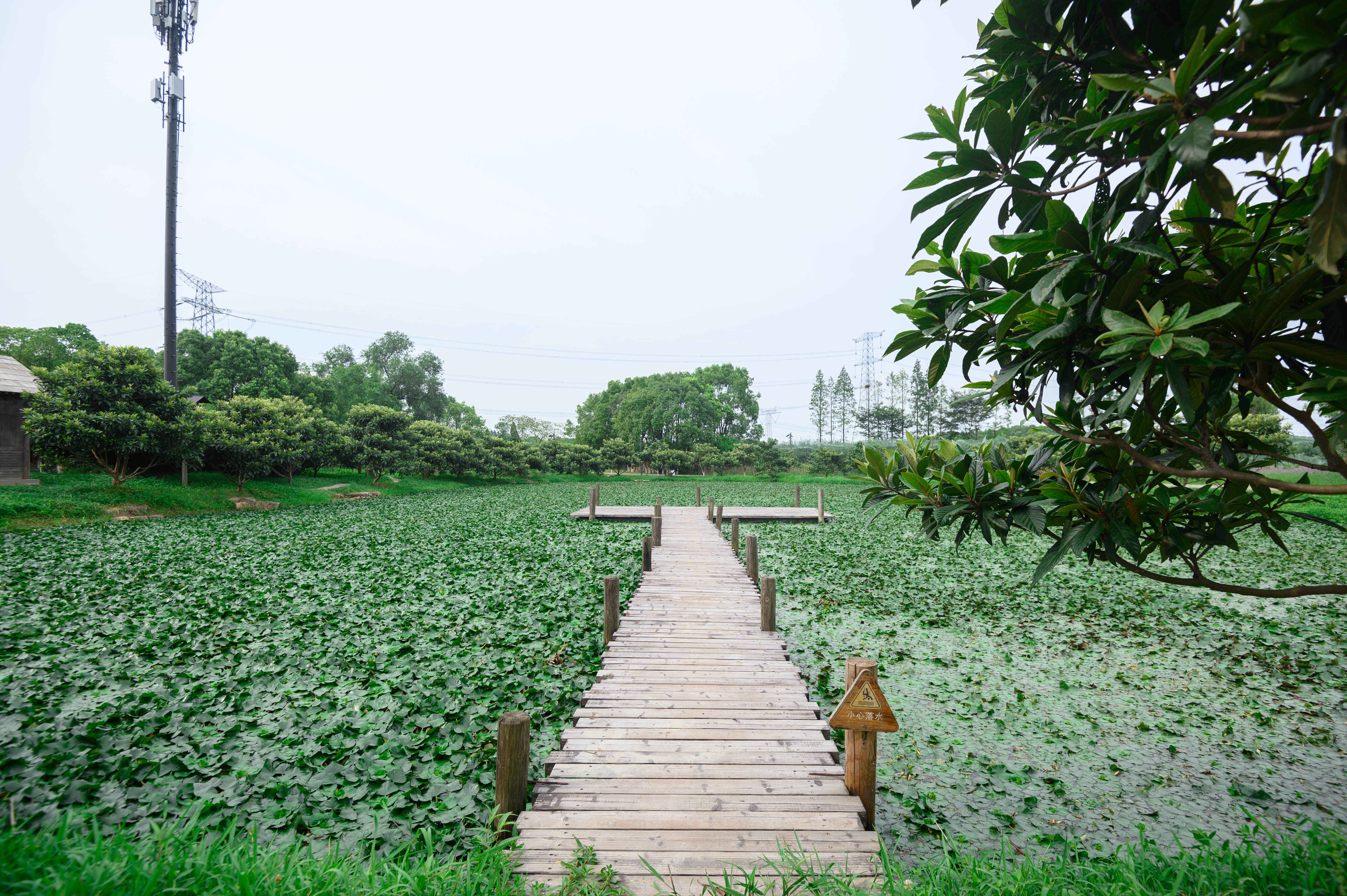 知道乌村吗，孩子来了就不愿离开，住乌村去西栅可以省150元