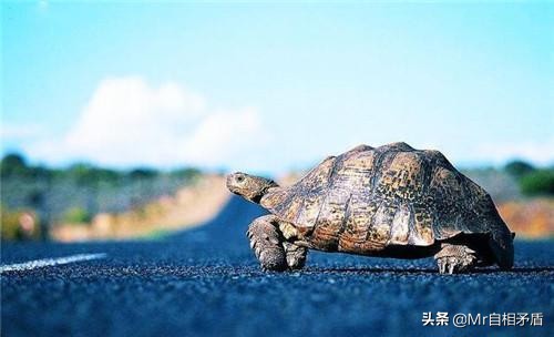 怎样才能摆脱骨子里的不自信知乎,如何摆脱骨子里的不自信克服自卑