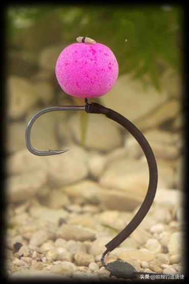 话说欧鲤钓组全集,欧鲤钓组可以钓哪些鱼