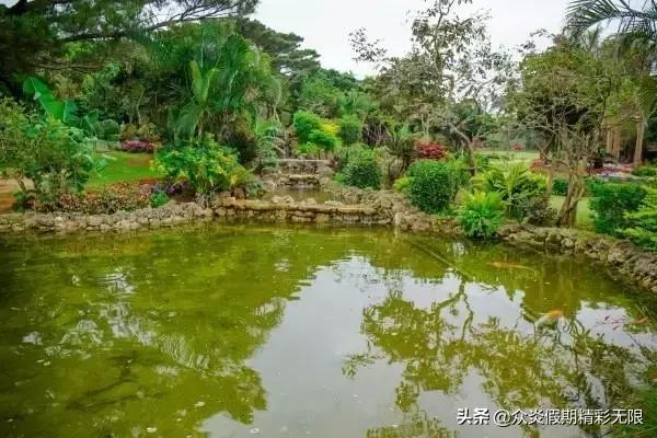 邮轮日本5天4夜游记攻略最全面,全球最豪华邮轮游日本