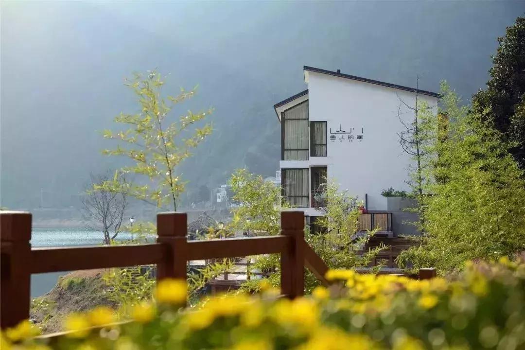 邂逅秋天的千岛湖！光看图已美醉，住这7家美宿避开人群赏湖景山色